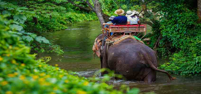 Elephant Safari Destinations