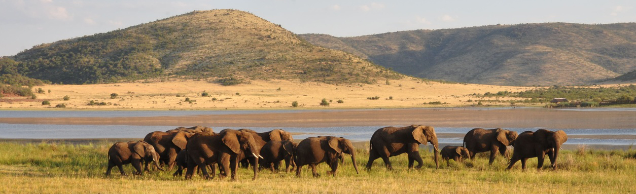 Wildlife Safari Destinations