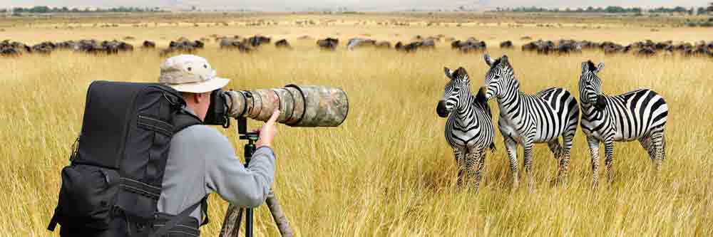Safari Wildlife Photo Destinations