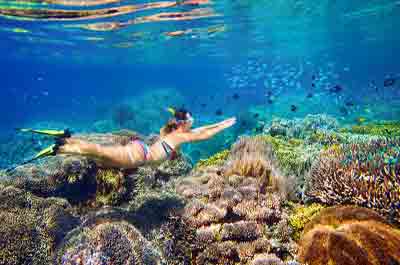 Best Snorkeling Sites